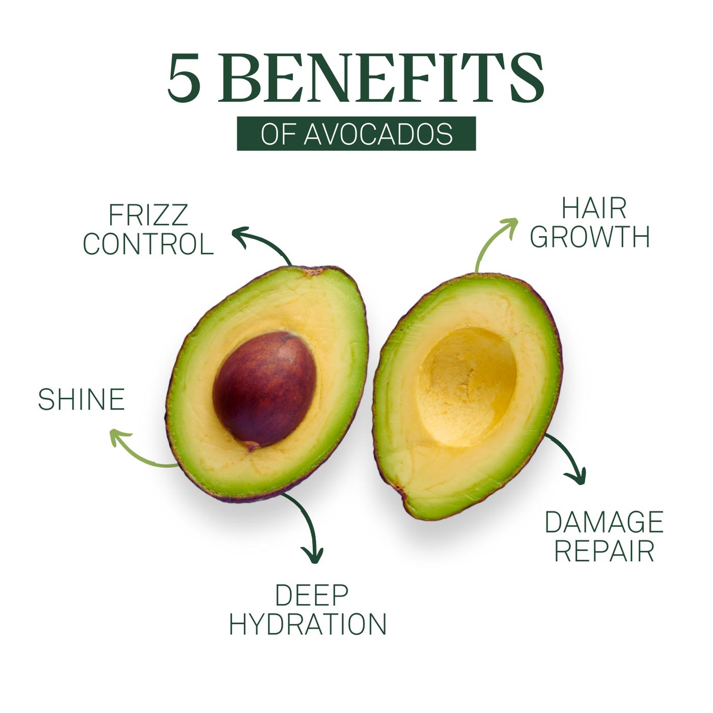 Avocado Hair Mask (Pack of 2)